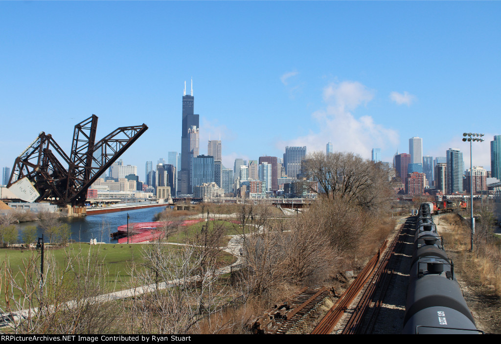 CN 8835